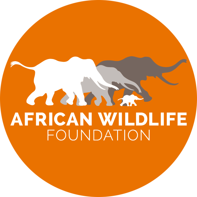 African Wildlife Foundation