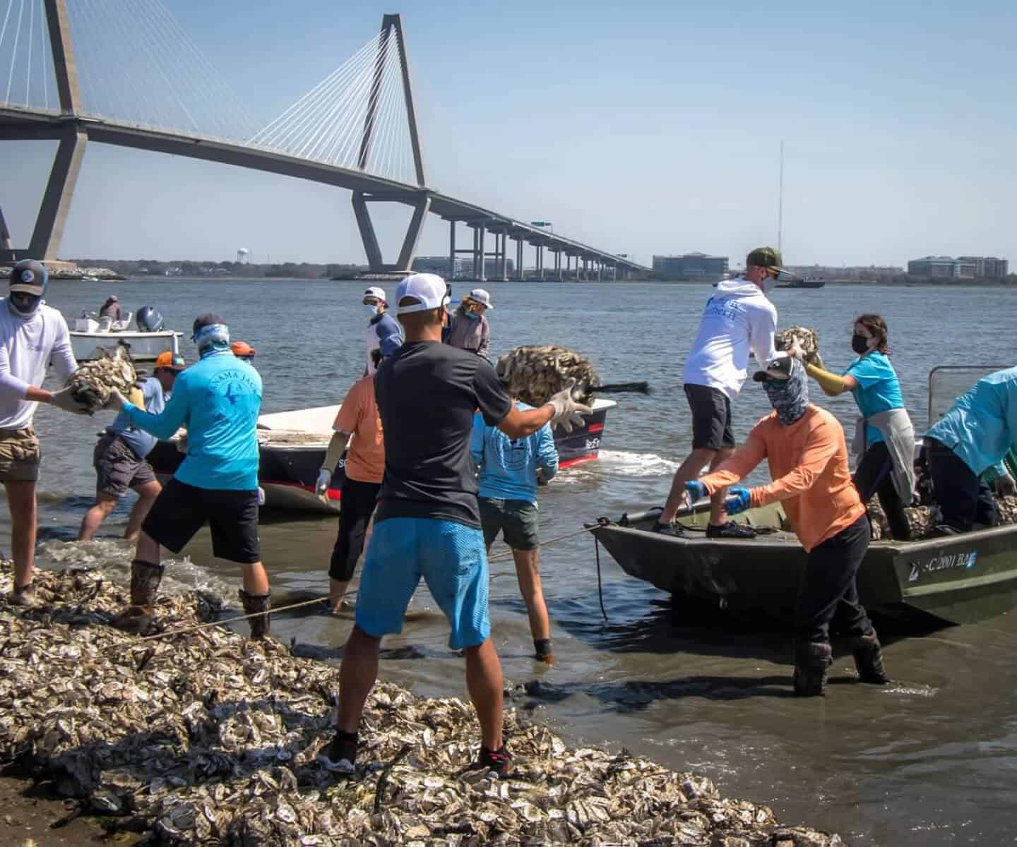 Volunteers participating in a coastal cleanup